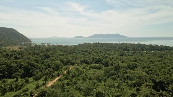 Aerial Descending Dirt Road Lush Green Foliage Ocean Island Distance — Wideo stockowe