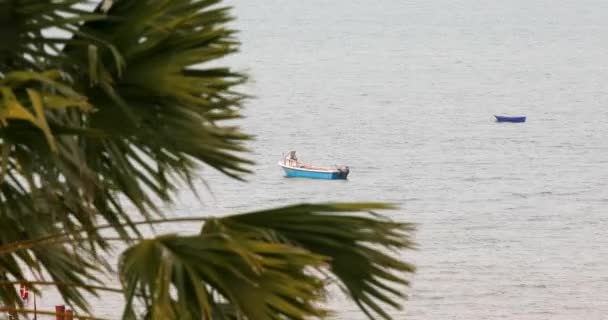 Two Small Boats Water Palm Tree Foreground Coast Pattaya Thailand — Video Stock