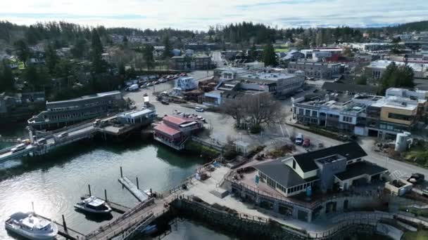 Cinematic Aerial Drone Footage Port Town Friday Harbor Ferry Terminal — 비디오