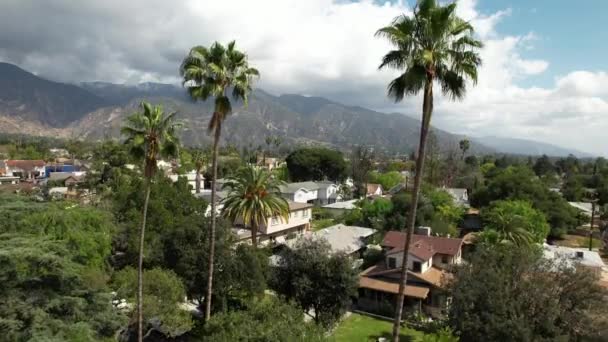 Aerial View Residential Neighborhood Pasadena Palm Trees Mountains — стокове відео