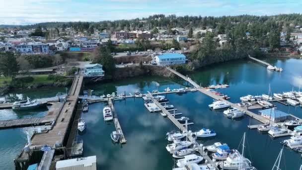 Cinematic Aerial Drone Footage San Juan Island Yacht Club Port — Vídeo de stock