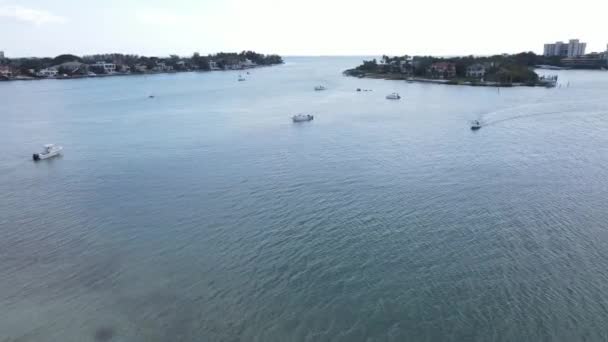 Aerial Boating New Pass Sarasota Florida Any Given Weekend — Video Stock