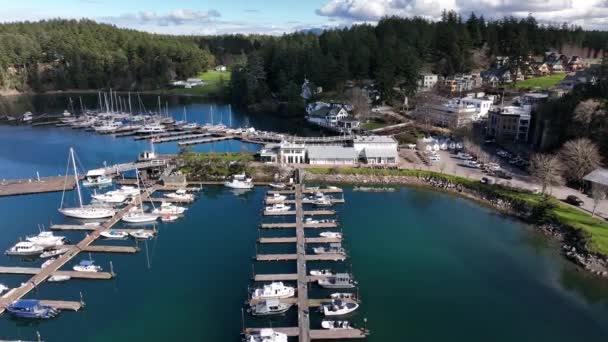 Cinematic Aerial Drone Orbit Footage Port Friday Harbor Shipyard Cove — Vídeo de stock