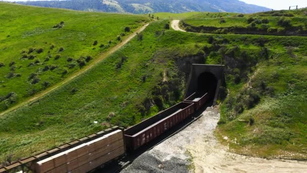 Cargo Railroad Cars Going Tunnel — Wideo stockowe