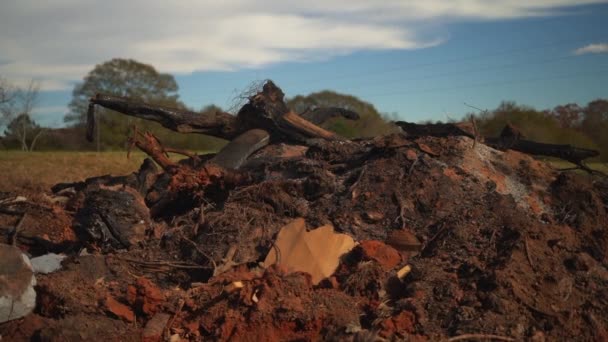 Smoldering Slash Pile Dirt Debris Lumbar Smoking Giant Bonfire Clear — Stock Video
