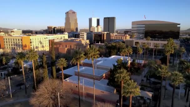 Letecký Průzkum Palem Tucsonu Arizoně — Stock video