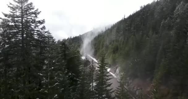 Tembakan Udara Dari Hutan Lebat Oregon — Stok Video