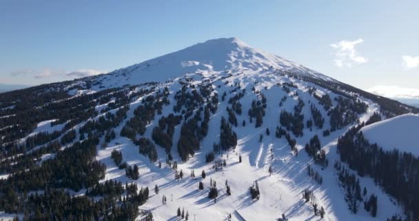 Pulling Out Aerial Shot Mount Bachelor — Wideo stockowe