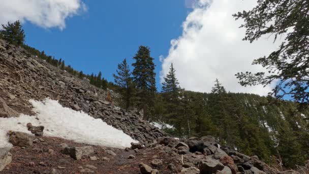 Alpine Landscape Rocky Forested Hillside Clouds Blue Sky Humphreys Peak — Vídeos de Stock