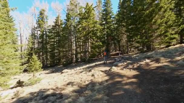 Tracking Motion Follow Hiker Forested Trail Natural Landscape Flagstaff Humphreys — стокове відео