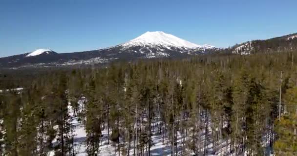 Pushing Trees Aerial Shot Mount Bachelor — Stock video