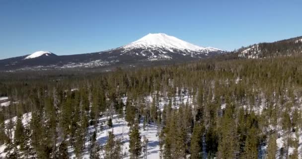 Pull Back Aerial Shot Mount Bachelor Amongst Trees — Stock video