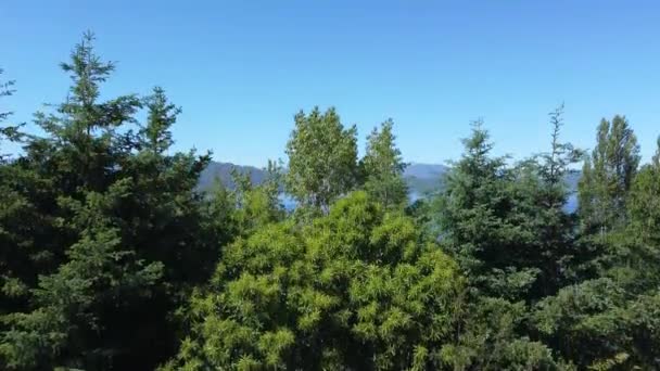 Trees Surround Blue Lake Southern Chile Green Mountains Adorn Landscape — Stock Video