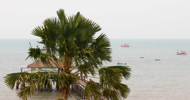 Palm Tree Pier Thai Fishing Vessels Background Going Out Sea — Vídeo de Stock