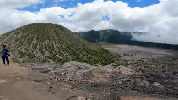 View Top Mount Bromo Shows Expanse Beauty Mount Bromo Area — Stock video