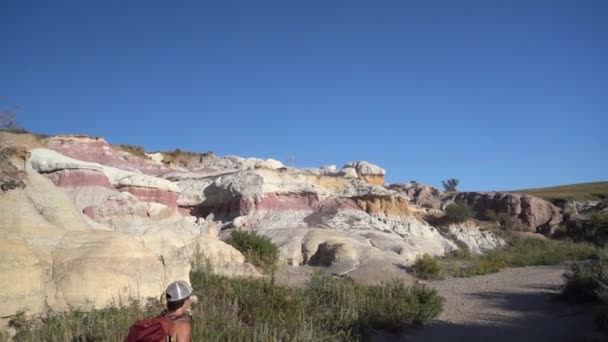 Female Hiker Backpack Walking Trail Hot Sunny Day Wilderness Paint — Vídeo de stock