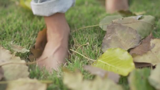 Female Feet Standing Green Grass Foliage Young Woman Enjoying Barefoot — ストック動画