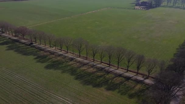 Samochodem Przez Drogi Zaplecza Otoczeniu Gruntów Rolnych Łąk — Wideo stockowe