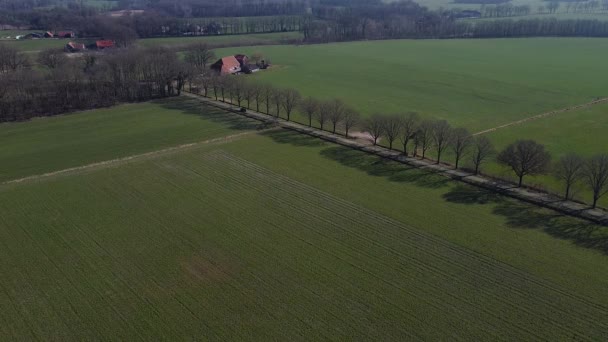 Ujęcie Drona Samochodu Jadącego Tylną Drogą — Wideo stockowe