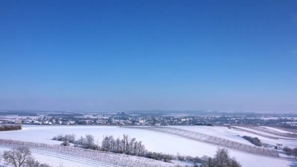 Idyllic View Snowy Landscape Countryside Wine Region Zistersdorf Lower Austria — Stok video