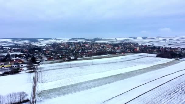 Snow Covered Empty Vineyards Zistersdorf Neighborhood Winter Lower Austria Aerial — Vídeos de Stock