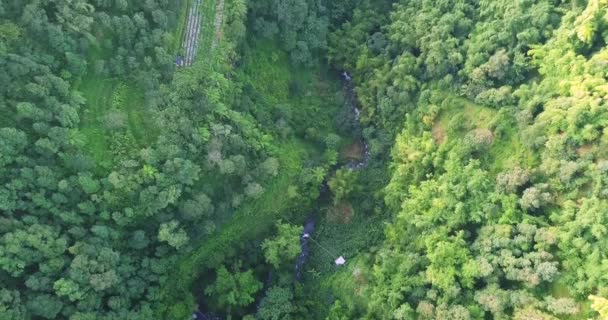 Aerial Top Shot Idyllic River Flowing Idyllic Valley Slope Mount — Stock video