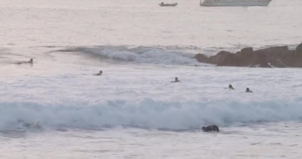 Surfer Catches Wave Amidst Boogie Boarders Paddling Out Swell Sunset — Stockvideo