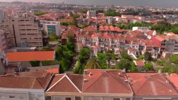 Huizen Porto Met Groene Vegetatie — Stockvideo