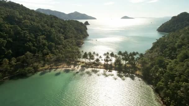 Aerial Tropical Island Joined Sand Bar Beach Palm Trees Shadows — Stock Video