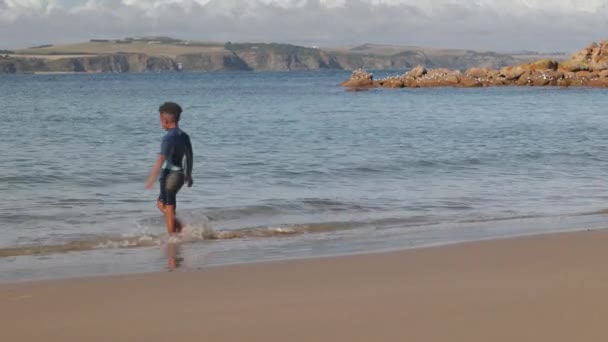 Young Boy Wetsuit Swims Bay Phillip Island — Vídeo de Stock