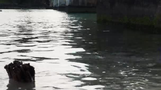 Railway Bridge Walkers Cross Other Side Trail Look Boats Horizon — стокове відео