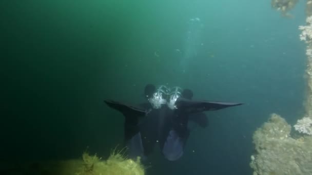 Underwater Scuba Diver Dry Suit Explores Ancient Shipwreck Dangerous Cold — Video Stock