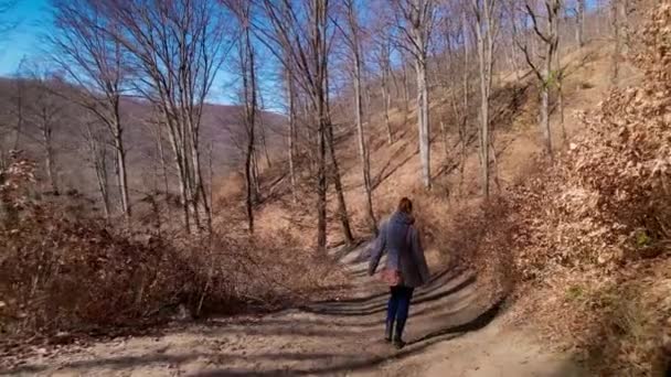 女性の広い角度の長いショットの森の道を歩いて ハンドヘルド — ストック動画