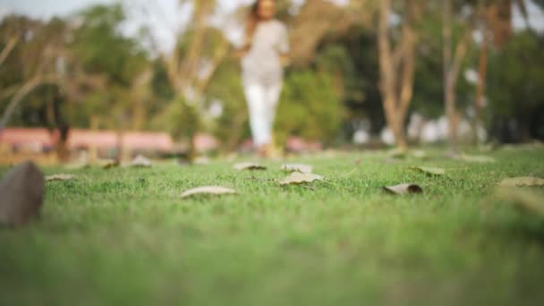 若い女性が草の上に裸の足でカメラに向かって葉で覆われて歩く 暖かい夏の日に公園を裸足で歩く女性 — ストック動画