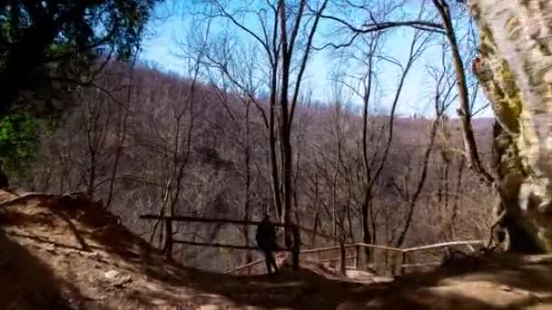 Mudándose Bosque Cueva Del Parque Nacional Szalajka Vlgy Hungría — Vídeo de stock