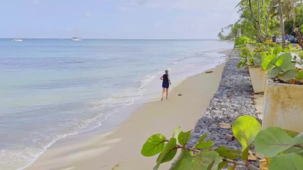 Estático Persona Corriendo Largo Playa Arena Orilla Del Mar Caribe — Vídeos de Stock