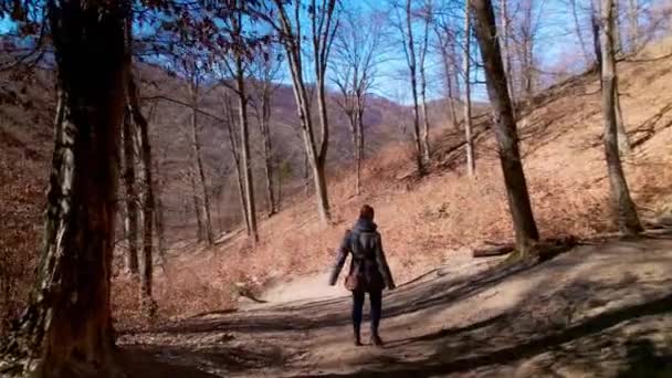 Prise Vue Main Après Une Femme Marchant Long Sentier Forestier — Video