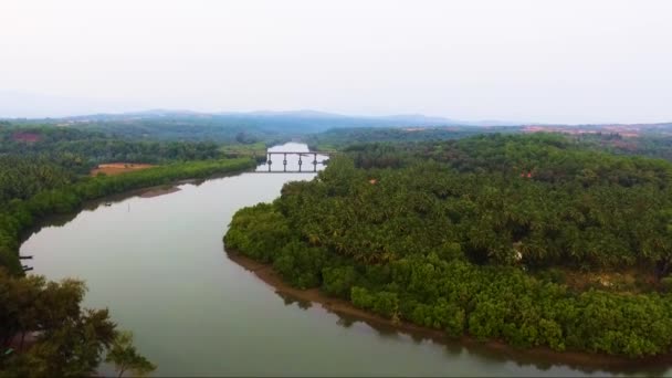 Güney Goa Hindistan Daki Galgibagh Nehrinin Insansız Hava Aracı Görüntüsü — Stok video