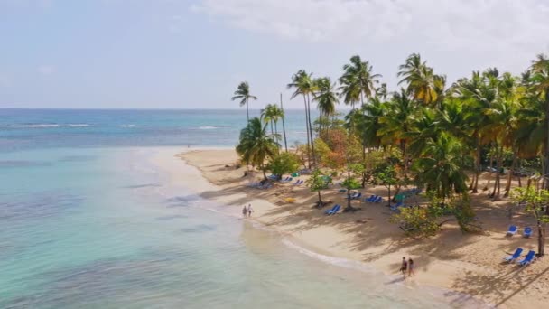 Vista Aérea Que Muestra Turista Descansando Playa Arena Tropical Con — Vídeos de Stock