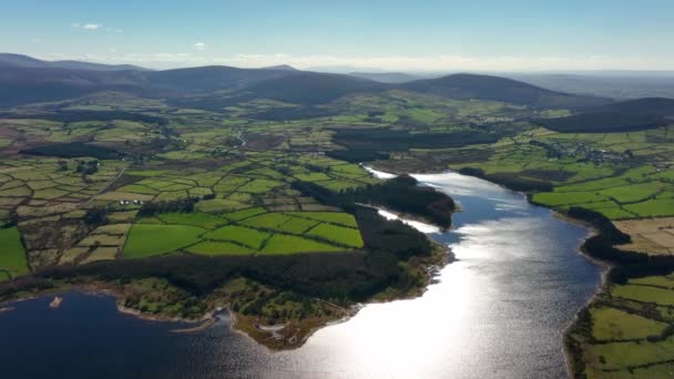 Blessington Lakes Wicklow Ireland March 2022 Drone Pushes South Monamuck — Video