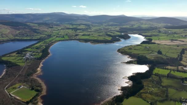 Blessington Lakes Wicklow Ireland March 2022 Drone Tracks East Liffey — Video