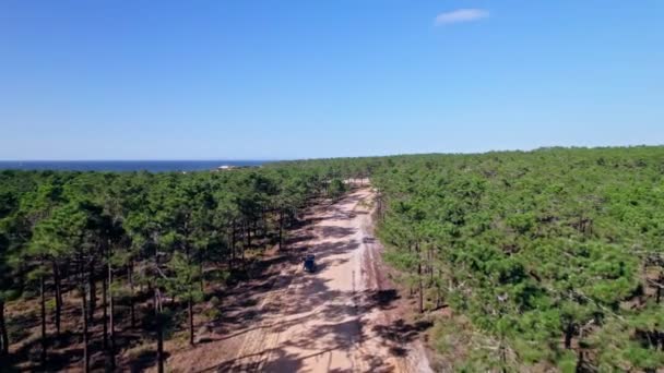 ポルトガルのAlentejoの海岸線近くの森林の空中ビュー — ストック動画