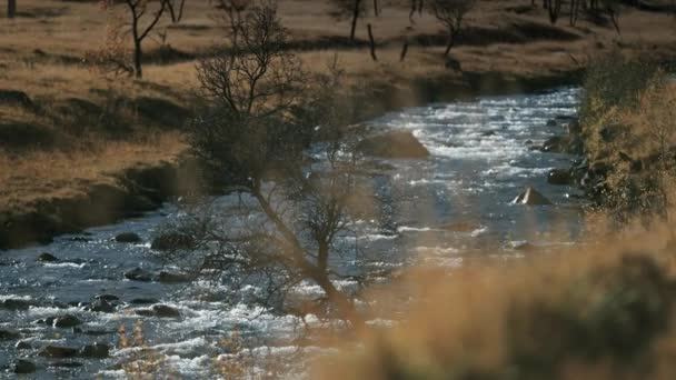 Tundrou Protéká Divoká Řeka Schřadlá Tráva Zemi Pomalý Rozmazaný Popředí — Stock video