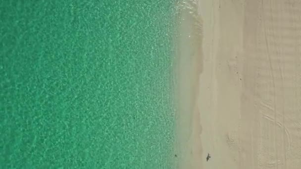 Flyger Över Paradisstrand Med Sand Och Vatten Karibien Flygdrönare Syn — Stockvideo