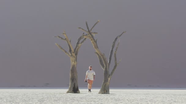 Homme Marchait Seul Dans Désert Avec Des Arbres Morts Sossusvlei — Video