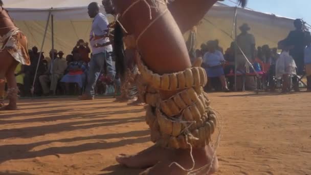Close Basara Men Dancing Wearing Setswana Traditional Leg Rattles — стоковое видео