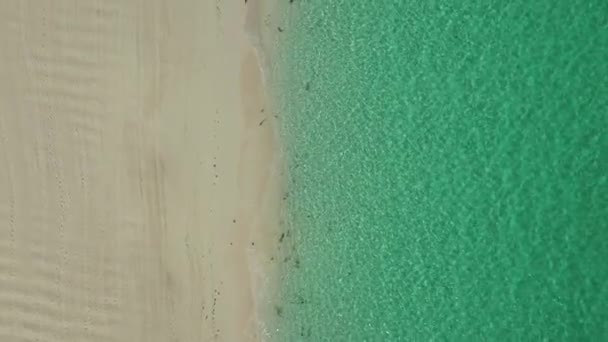 カリブ海の砂と水で楽園のビーチを飛んでいます 熱帯島のターコイズブルーの水の空中ドローンビュー — ストック動画