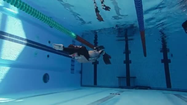 Male Competition Freediver Diving Pool — Stock Video