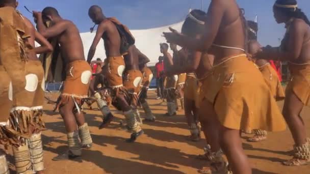 Group Basarwa Tribesmen Women Performing Traditional Dance Cultural Festival — Stock Video