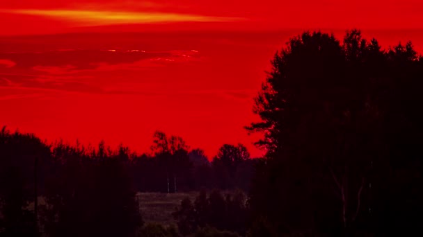 Uitzicht Rijzende Zon Boven Rode Hemel Van Achter Dichte Bomen — Stockvideo